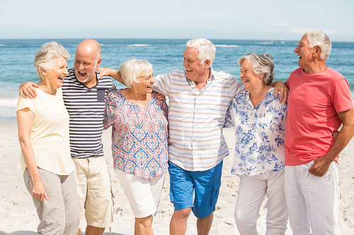 Portrait of senior friends at the beach on a sunny day