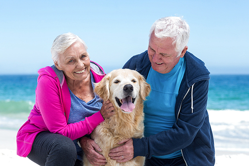 Cute mature couple petting their dog on the beach