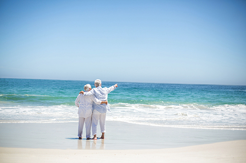 Senior couple embracing and pointing at the beach