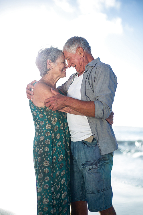 Senior couple embracing at the beach on a sunny day