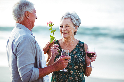 Senior couple holding rose and red wine glasses at the beach