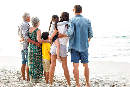 Rear view of a happy family posing at the beach on a sunny day