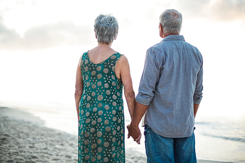 Rear view of a senior couple holding hands at the beach