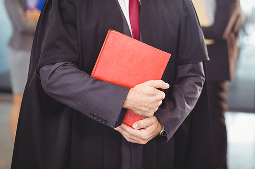 Lawyer holding a law book in office