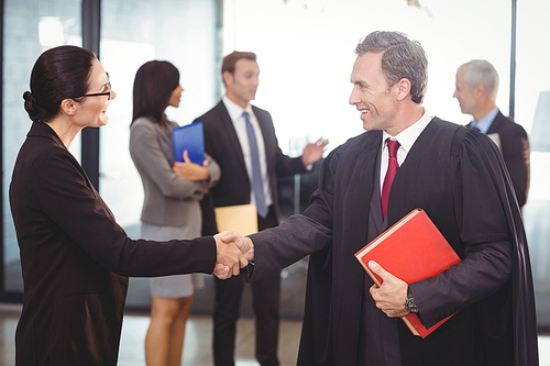 Businesswoman shaking hands with lawyer in office