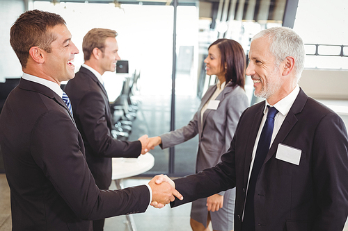 Businesspeople shaking hands with each other in the office