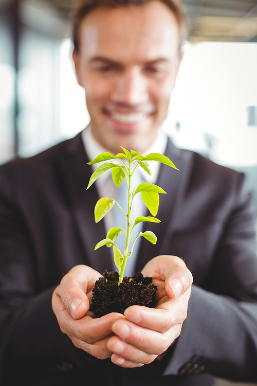 Happy businessman holding plant in office