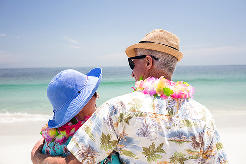 Rear view of senior couple embracing each other on the beach