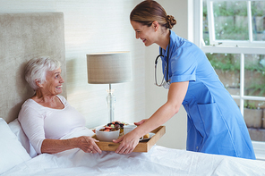 Smiling nurse giving food to senior woman at home