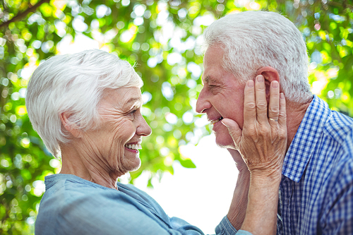 Close-up of romantic couple standing face to face