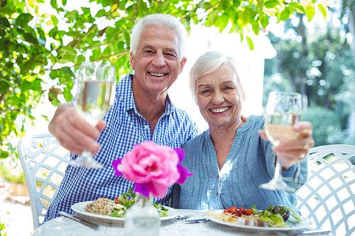 Portrait of smiling senior couple offering white wine