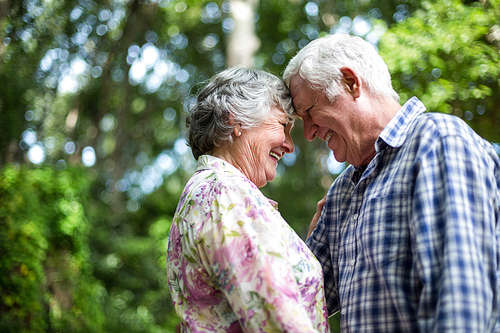 Romantic senior couple touching head against trees in back yard