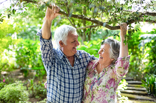 Happy senior couple holding branch in back yard