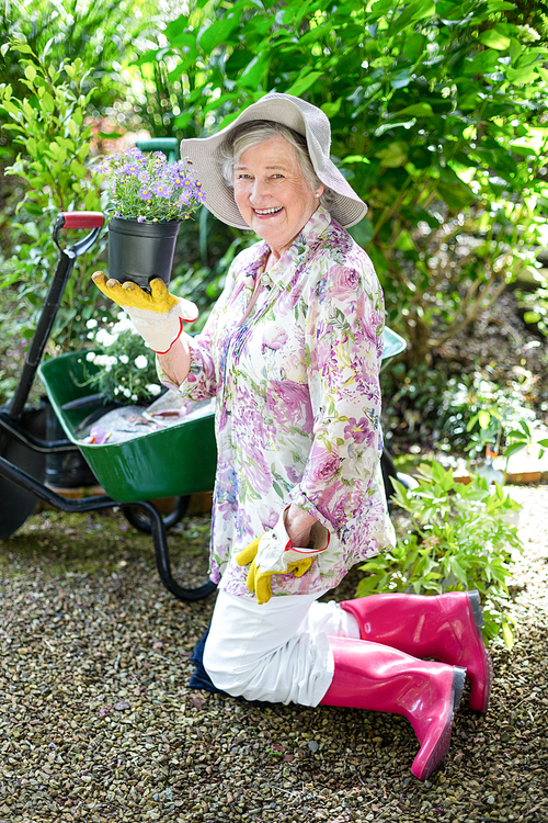 Cheerful senior woman holding potted plant while kneeling in garden
