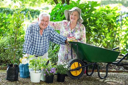 Portrait of senior couple kneeling by wheelbarrow in garden