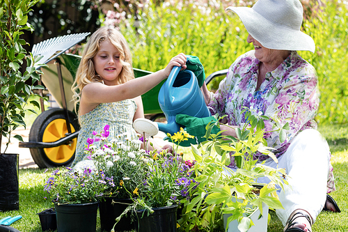 Grandmother and granddaughter watering the plants in the garden on a sunny day