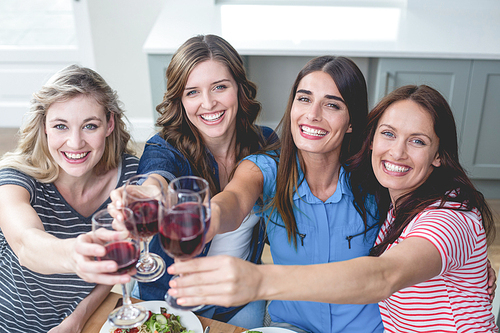Friends toasting glass of wine while having meal at home
