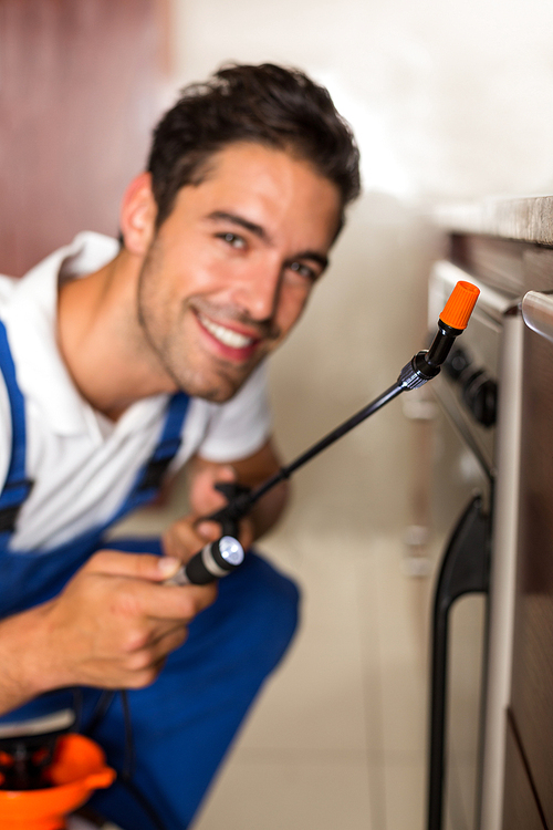 Portrait of cheerful man spraying insecticide on oven in kitchen