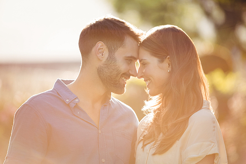 Close-up of couple romancing at park