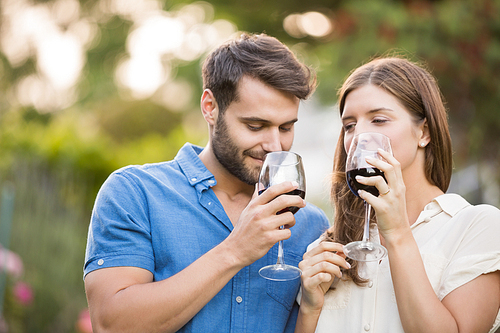 Couple drinking wine while standing at park