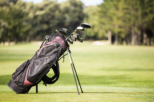 Filled golf bag with golf club on the field