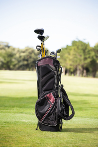 Filled golf bag with golf club on the field