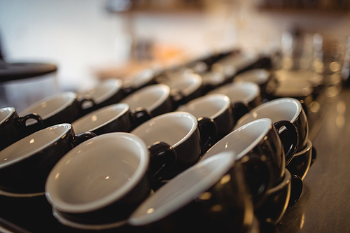 Coffee cups arranged in a row at cafeteria