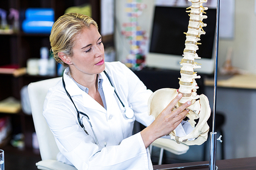 Physiotherapist looking at spine model