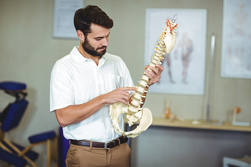 Male therapist holding spine model in clinic