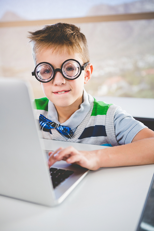 Portrait of schoolkid using laptop in classroom at school