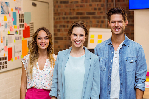 Portrait of smiling business executives standing together in office