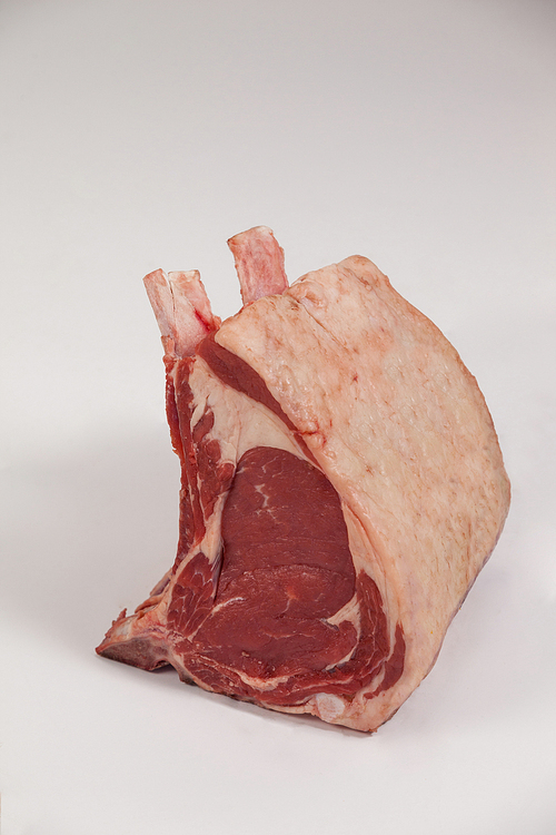 Sharp Rib Shell 유토이미지 | Close-up of rib chop against white background