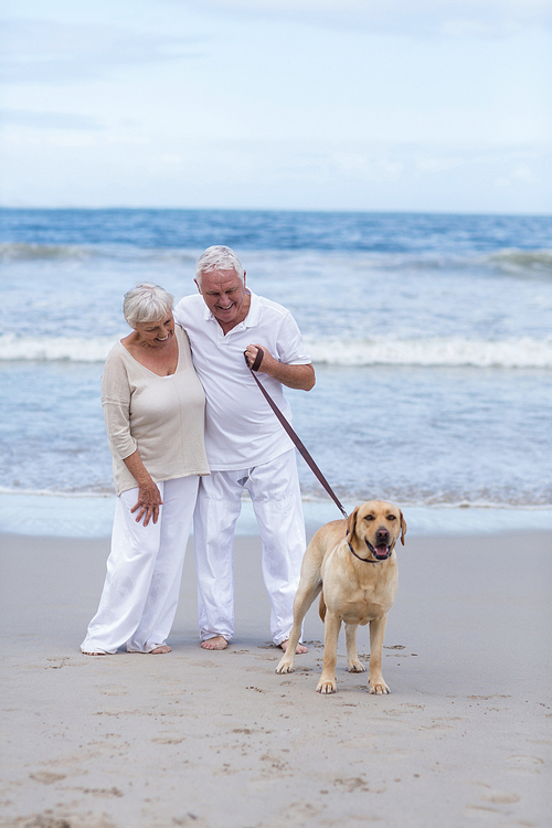 Happy senior couple walking on the beach with dog