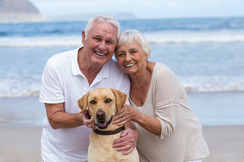 Portrait of senior couple playing with their dog on the beach