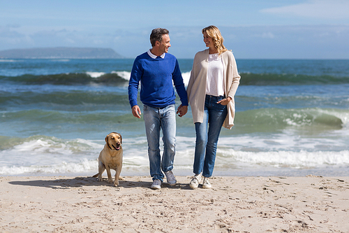 Romantic mature couple walking on the beach with their dog