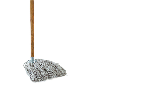 Close-up of mop against white background