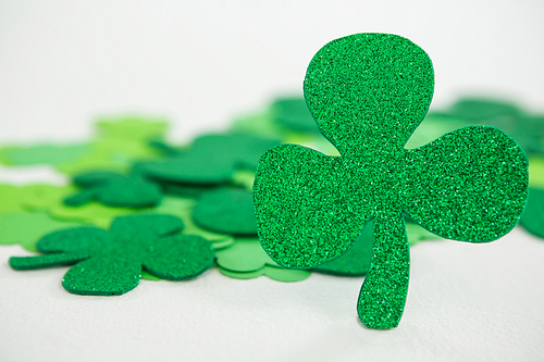 St Patricks Day shamrocks on white background