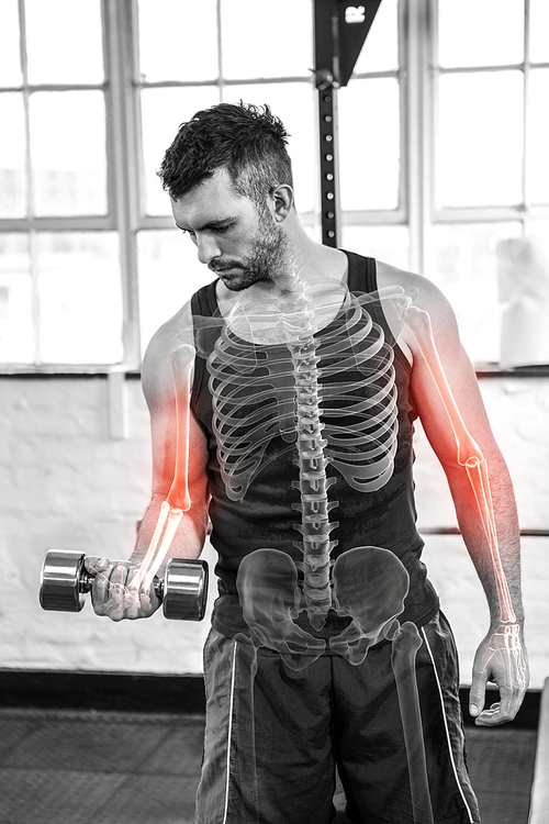 Digital composite of highlighted bones of strong man lifting weights at gym