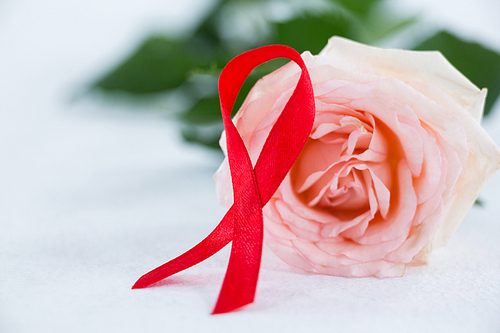 Close-up of red AIDS Awareness ribbon with pink rose on white background