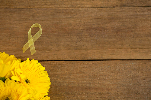Overhead view of yellow Sarcoma Awareness ribbon by gerbera flowers on wooden table