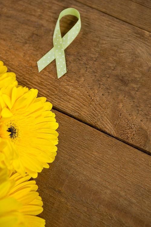 High angle view of spotted green Lymphoma Awareness ribbon with yellow gerbera flowers on wooden table