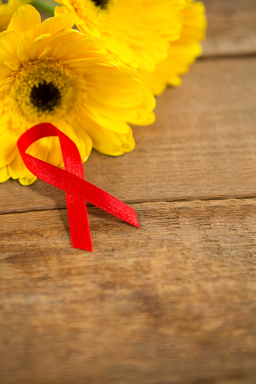 High angle view of red AIDS awareness ribbon by gerbera flowers on wooden table