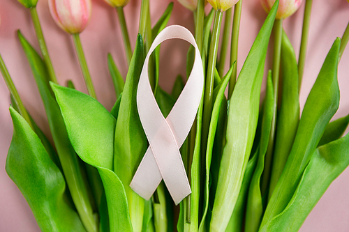 Close-up of Breast Cancer Awareness ribbon on tulip flowers against blue background