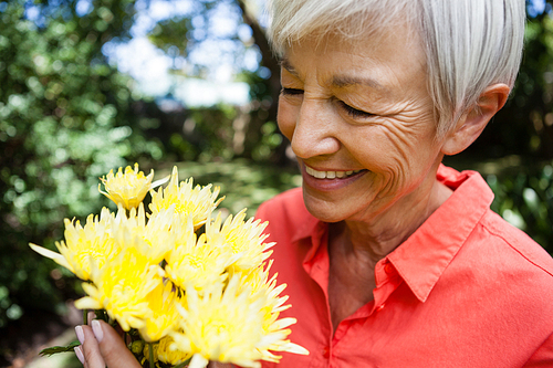 Close-up of smiling senior woman looking at fresh yellow flowers at backyard
