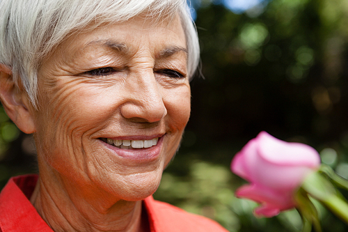 Close-up of smiling senior woman looking at fresh pink rose at backyard