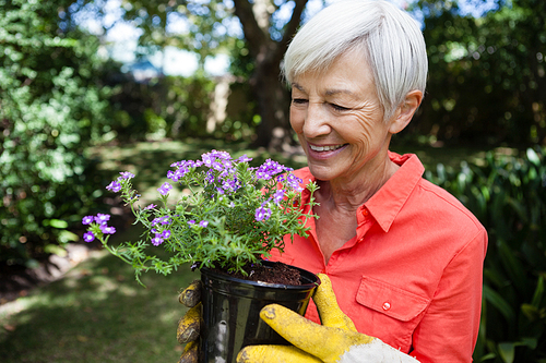 Smiling senior woman looking at purple flowering pot at backyard