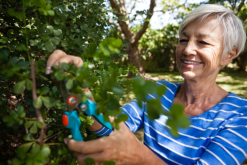 Smiling senior woman trimming plants with pruning shears at backyard