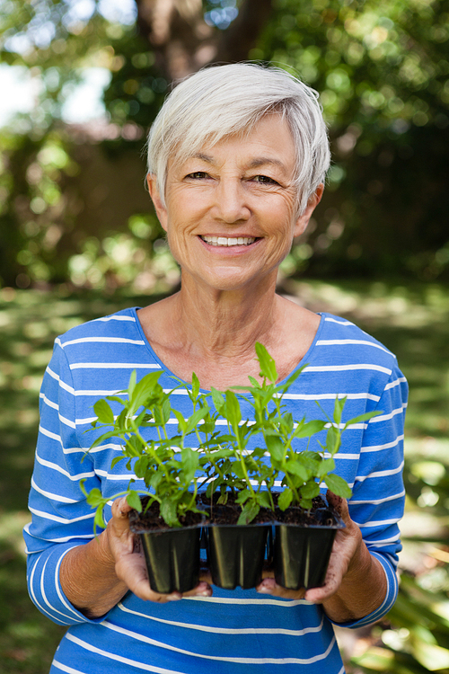 Portrait of smiling woman holding seedlings at backyard
