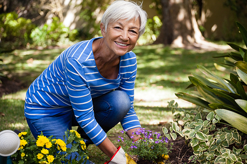 Portrait of happy senior woman kneeling while planting flowers in backyard