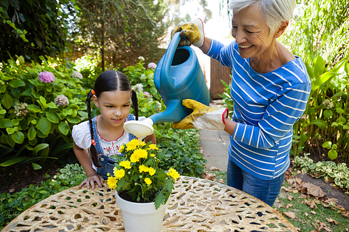 Girl looking while smiling senior woman watering yellow flowers on table in backyard